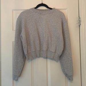 Cropped grey Aritzia crew neck